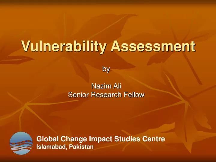 vulnerability assessment