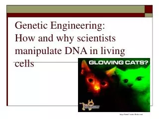 Genetic Engineering: How and why scientists manipulate DNA in living cells