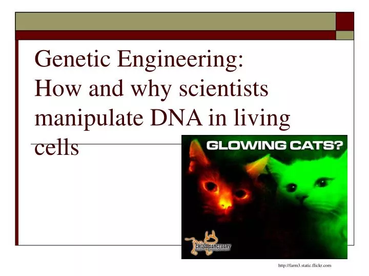 genetic engineering how and why scientists manipulate dna in living cells