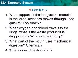 sponge 10