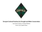Vineyard Cultural Practices for Drought and Water Conservation