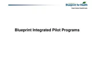 Blueprint Integrated Pilot Programs