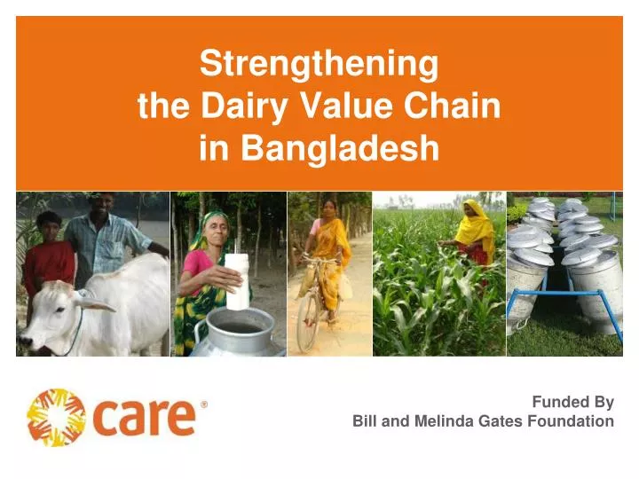 strengthening the dairy value chain in bangladesh