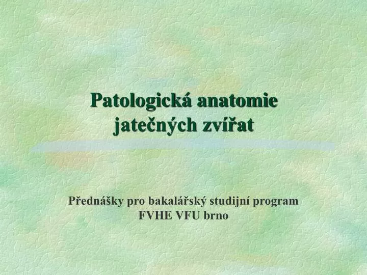 patologick anatomie jate n ch zv at
