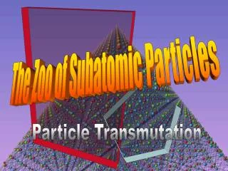 ParticleZoo