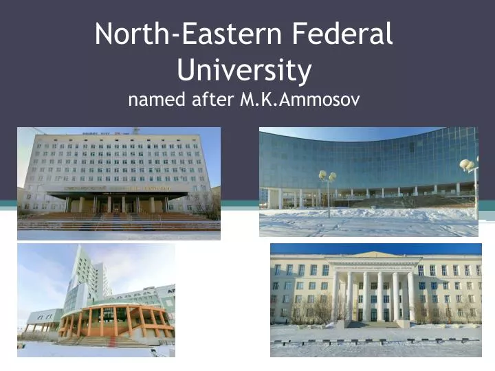 north eastern federal university named after m k ammosov