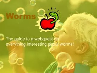 Worms