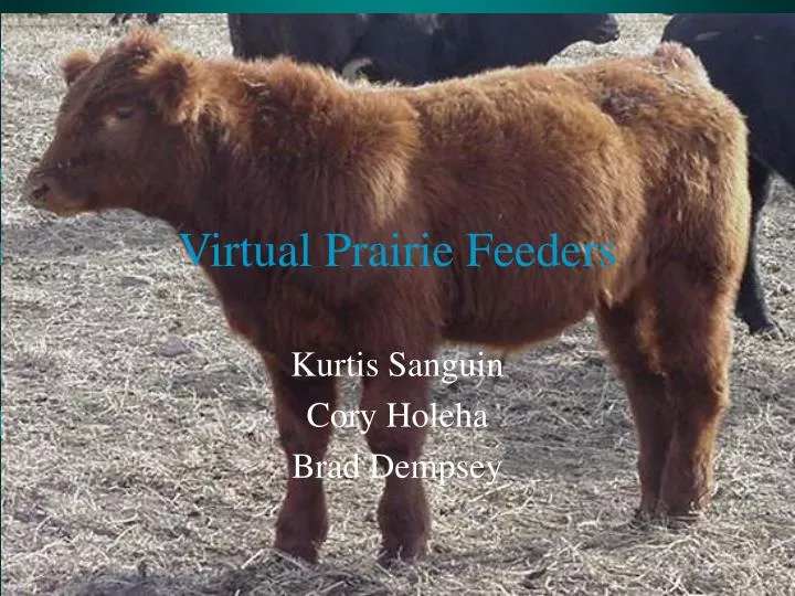 virtual prairie feeders