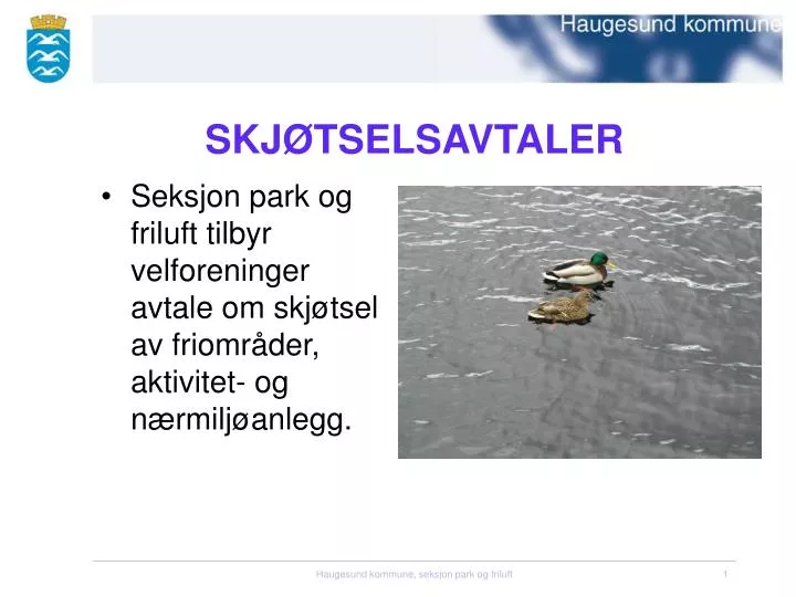 skj tselsavtaler