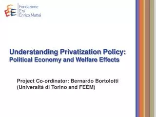 Understanding Privatization Policy: Political Economy and Welfare Effects