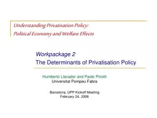 Understanding Privatisation Policy: Political Economy and Welfare Effects