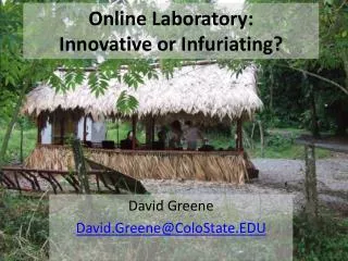 Online Laboratory: Innovative or Infuriating?