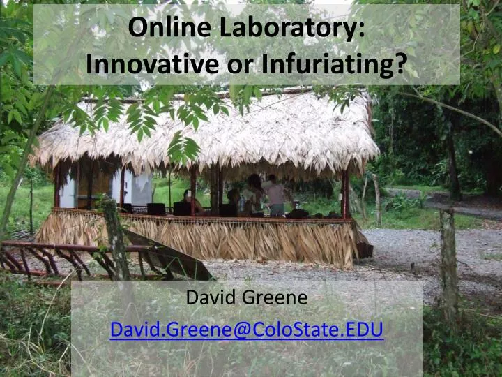 online laboratory innovative or infuriating