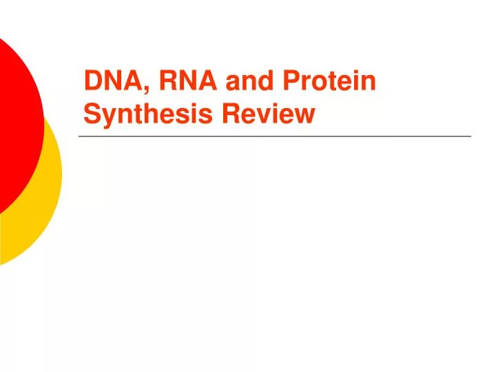 dna rna and protein synthesis review