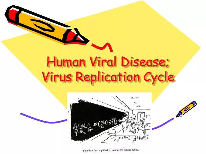 human viral disease virus replication cycle