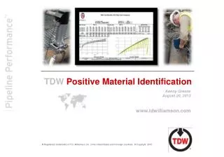 TDW Positive Material Identification