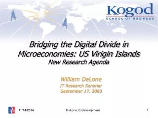 Bridging the Digital Divide in Microeconomies: US Virigin Islands New Research Agenda