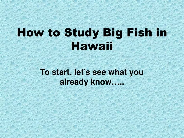 how to study big fish in hawaii