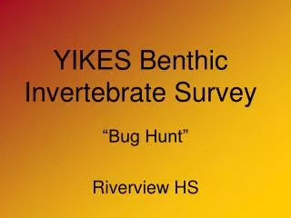 YIKES Benthic Invertebrate Survey