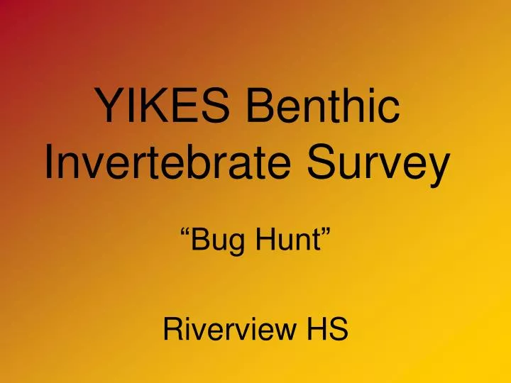 yikes benthic invertebrate survey