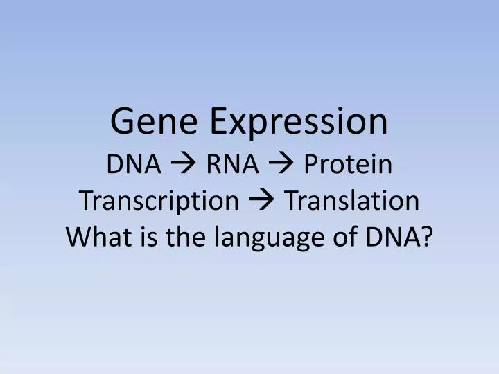 gene expression dna rna protein transcription translation what is the language of dna