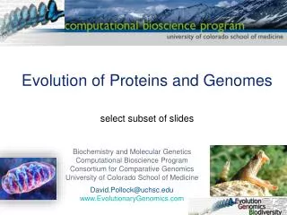 Evolution of Proteins and Genomes select subset of slides