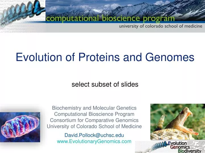 evolution of proteins and genomes select subset of slides
