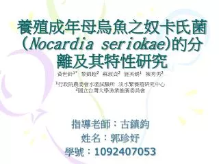 nocardia seriokae