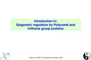 Introduction in: Epigenetic regulation by Polycomb and trithorax group proteins
