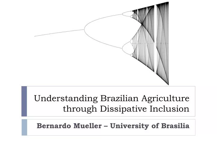 understanding brazilian agriculture through dissipative inclusion