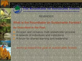 What is the Roundtable on Sustainable Forests? As Described in the Past: