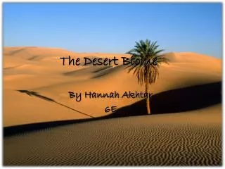 The Desert Biome