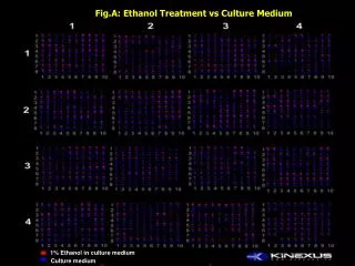 Fig.A: Ethanol Treatment vs Culture Medium