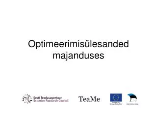 optimeerimis lesanded majanduses