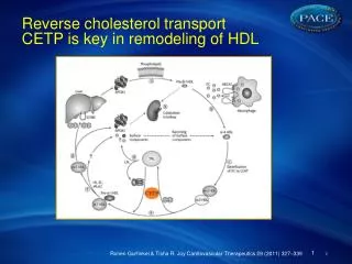 Reverse cholesterol transport CETP is key in remodeling of HDL
