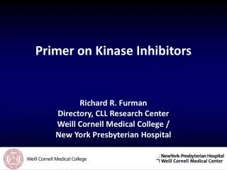 Primer on Kinase Inhibitors