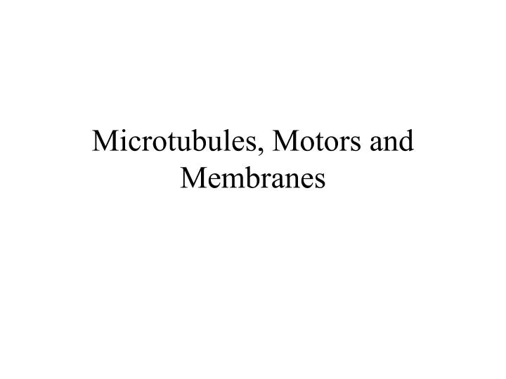 microtubules motors and membranes