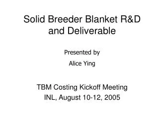 Solid Breeder Blanket R&amp;D and Deliverable