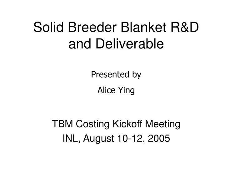 solid breeder blanket r d and deliverable