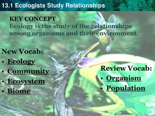 KEY CONCEPT Ecology is the study of the relationships among organisms and their environment.