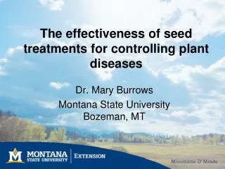 The effectiveness of seed treatments for controlling plant diseases