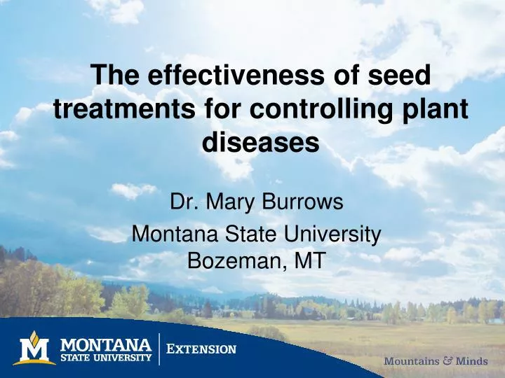 the effectiveness of seed treatments for controlling plant diseases