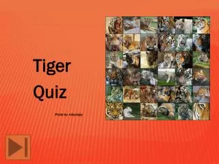 Tiger 		Quiz 			Photo by: robynejay