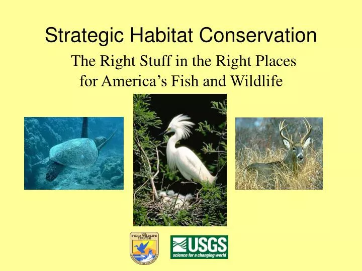 strategic habitat conservation the right stuff in the right places for america s fish and wildlife