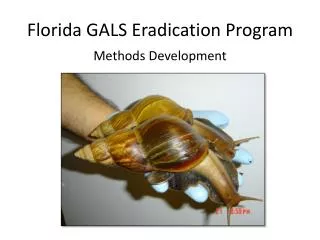 Florida GALS Eradication Program
