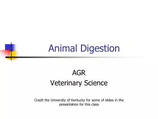 animal digestion