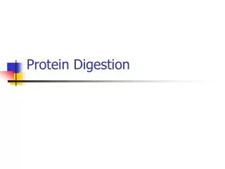 Protein Digestion