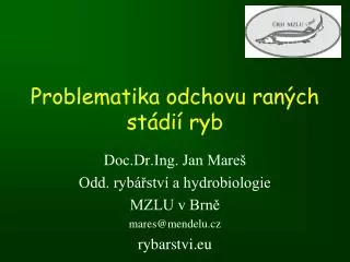 problematika odchovu ran ch st di ryb