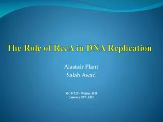 The Role of RecA in DNA Replication