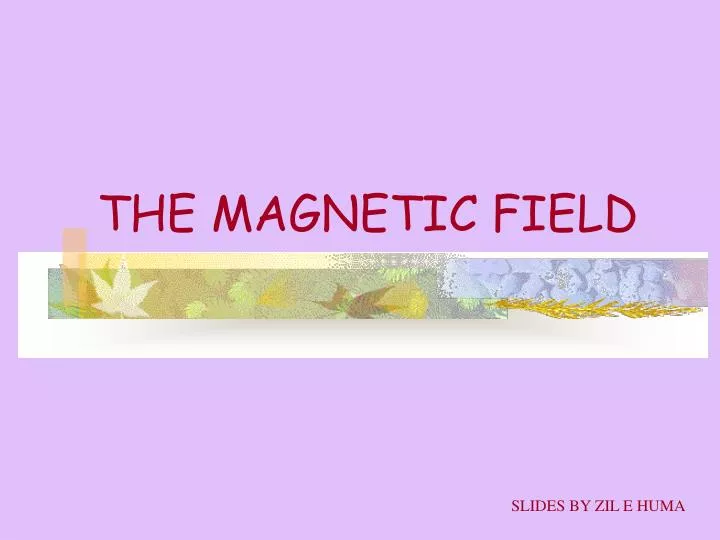 the magnetic field